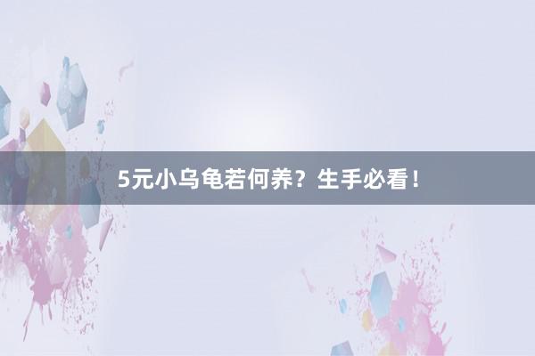 5元小乌龟若何养？生手必看！