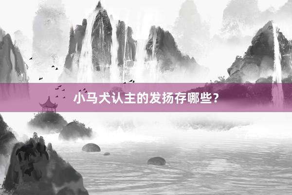 小马犬认主的发扬存哪些？